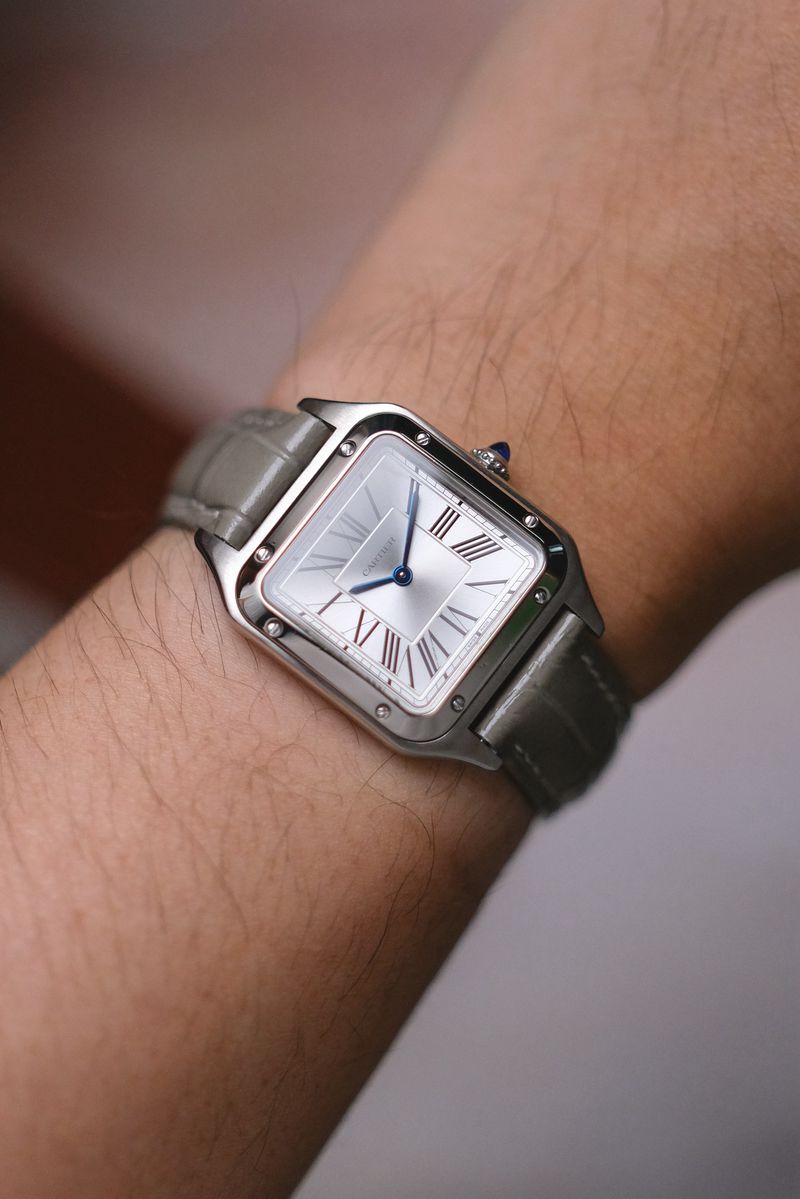 Cartier Santos Dumont Small Model (4)