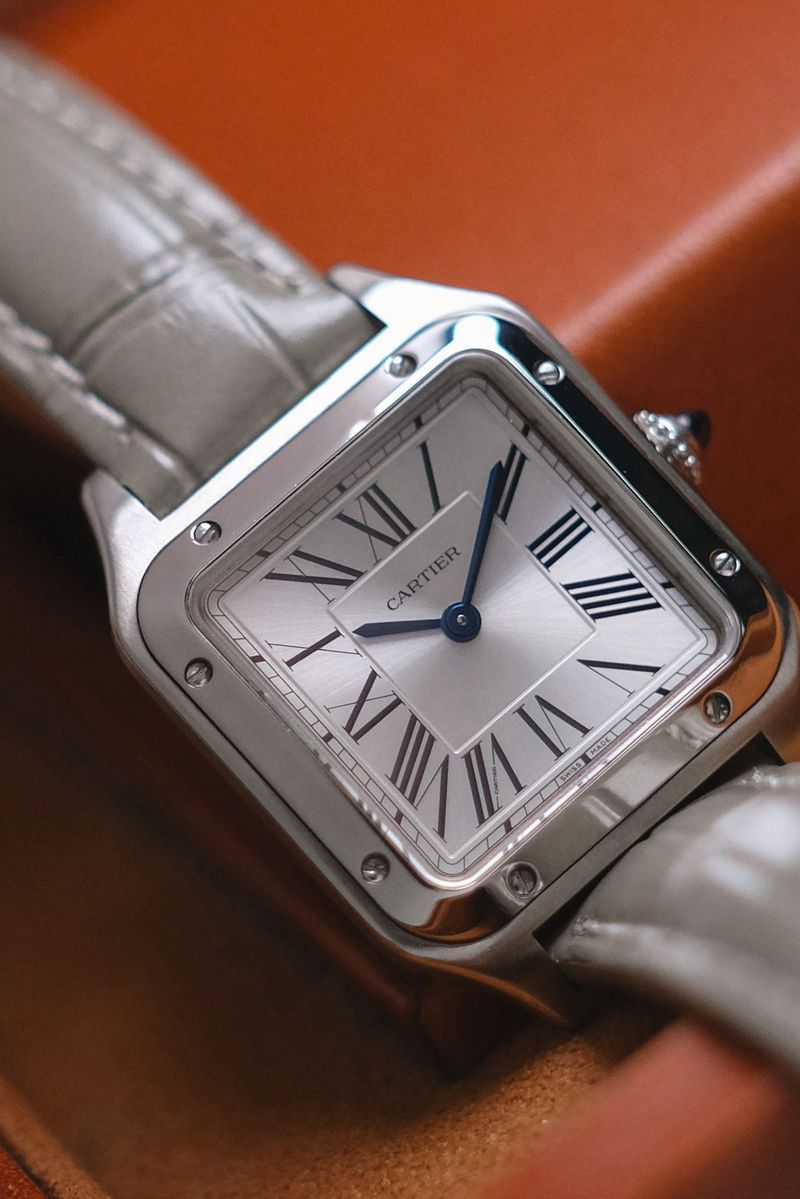 Cartier Santos Dumont Small Model (5)