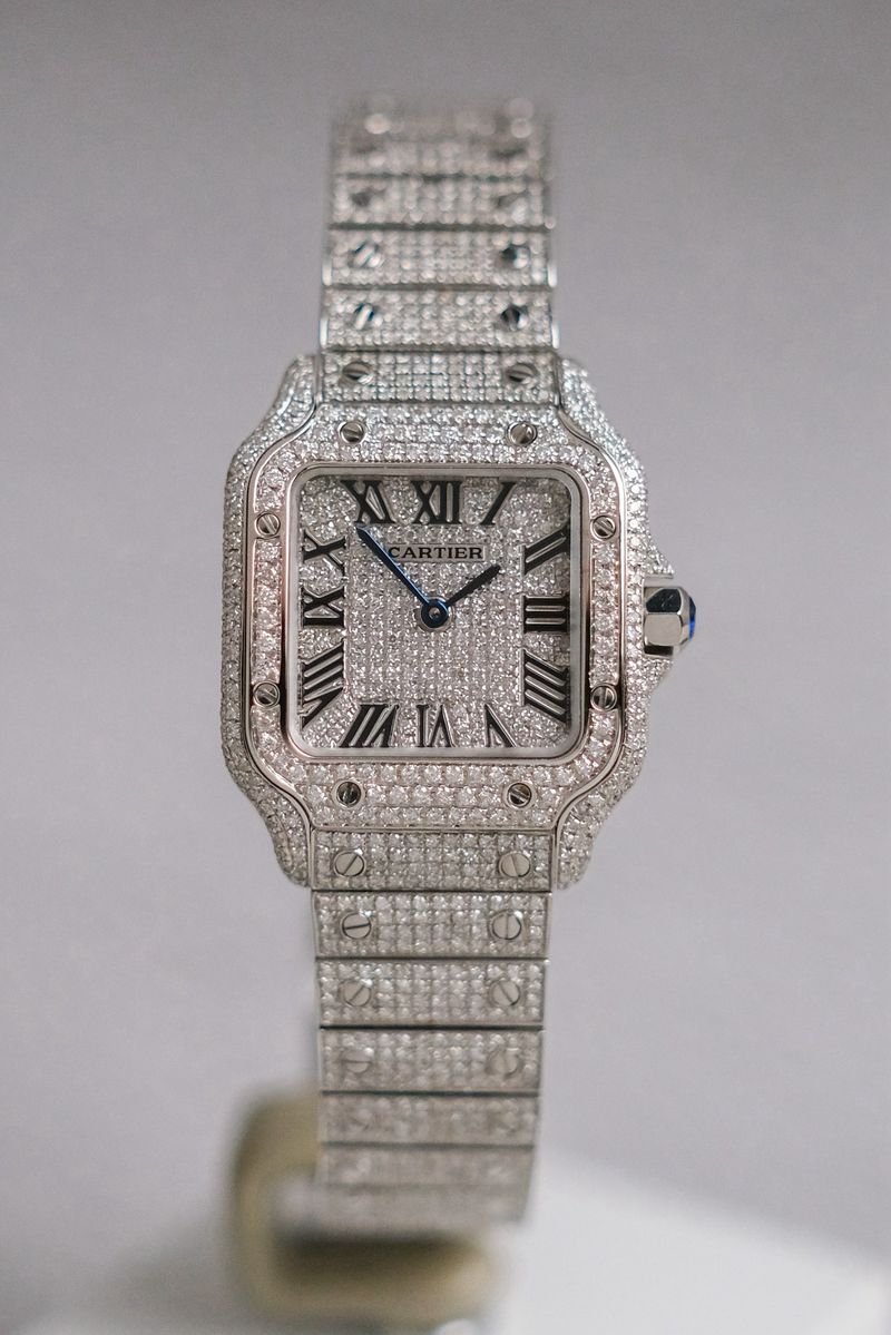 นาฬิกา Cartier Santos de Cartier Small Full Diamond Ref WSSA0082