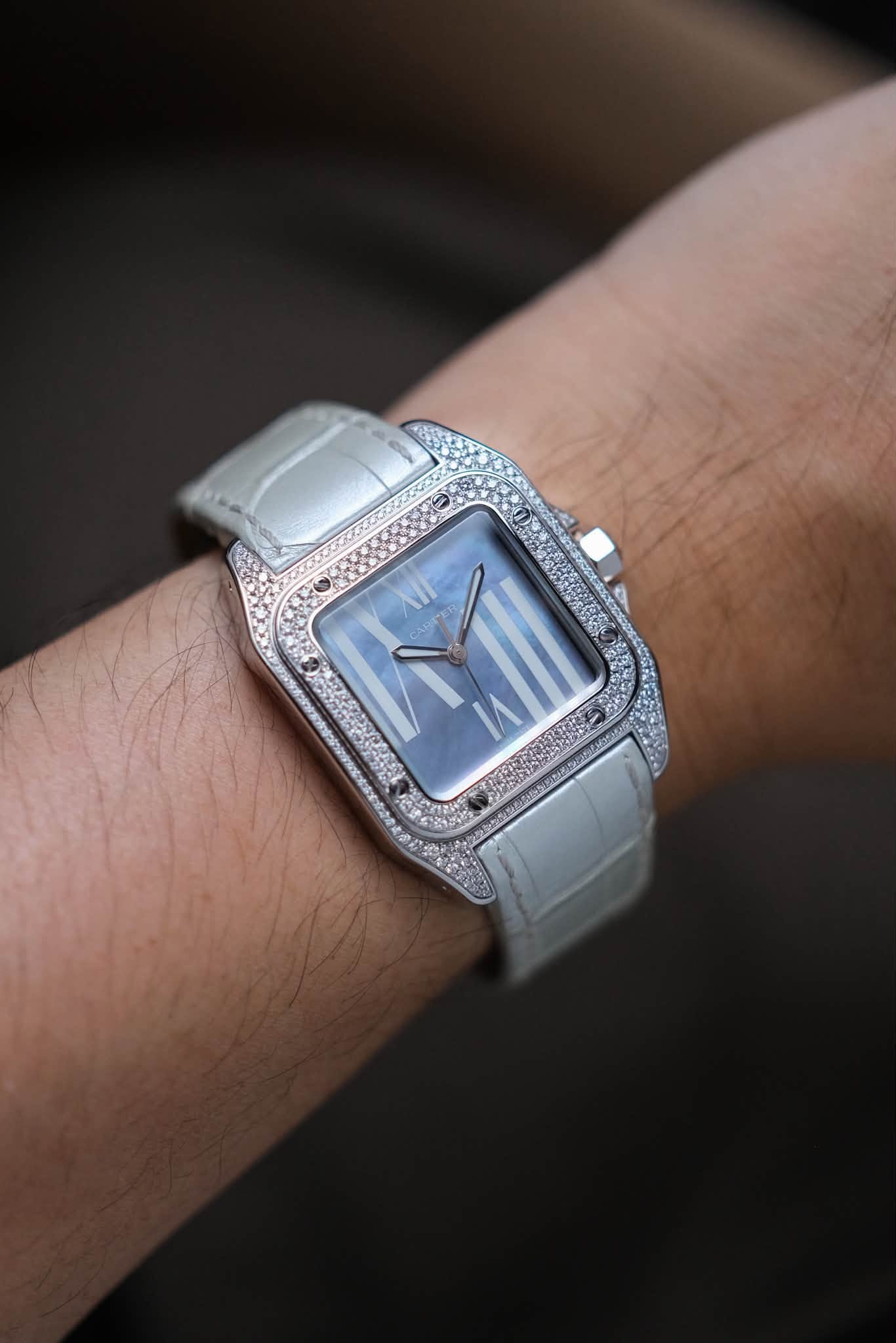 นาฬิกามือสอง Cartier Santos 100 18K White Gold Diamond Set WM503251